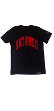 Load image into Gallery viewer, Premium Collegiate Velvet cut athletic tee - Alwayz Hot 
