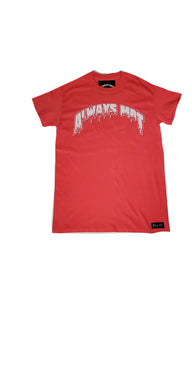 Always Hot Torch Arch logo  coral - Alwayz Hot 